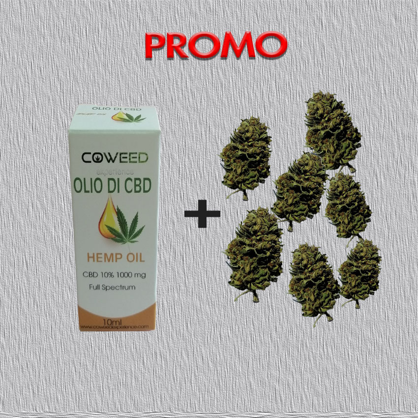 Offerta olio di cbd 10% + 10 grammi di infiorescenze candy caramel