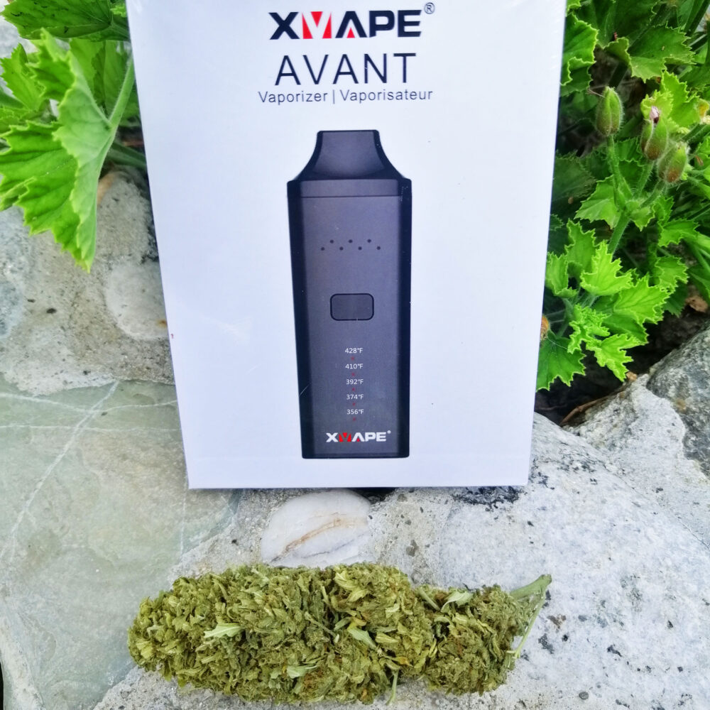 Promo vaporizzatore xvape avant in promozione con infiorescenze cbd