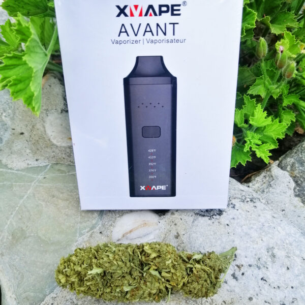Promo vaporizzatore xvape avant in promozione con infiorescenze cbd