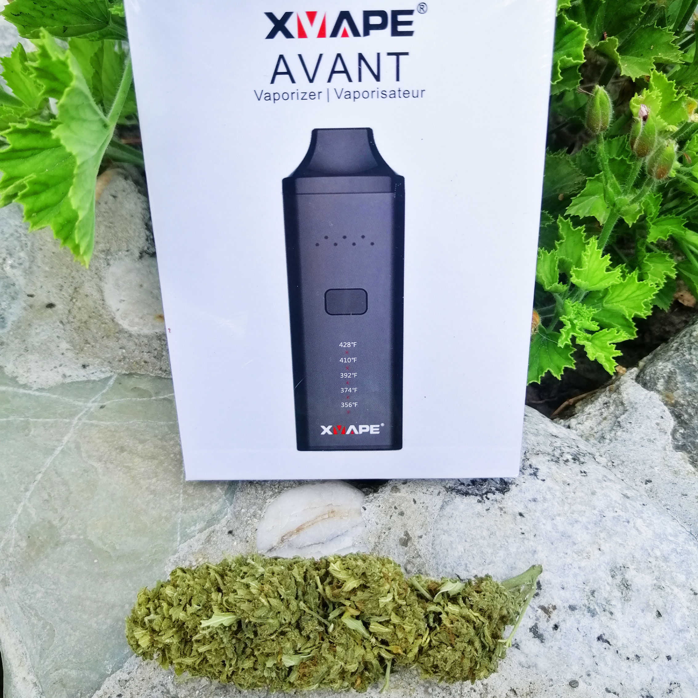 Promo vaporizzatore xvape avant in promozione con infiorescenze cbd