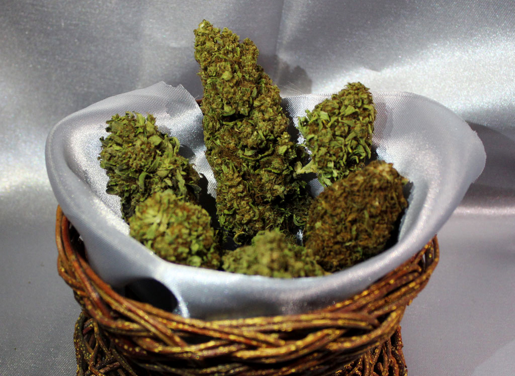 Infiorescenze cannabis kit di benvenuto